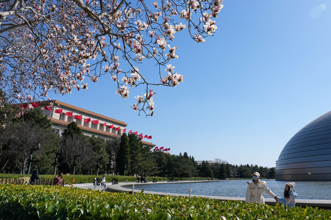CHINA-BEIJING-MAGNOLIA BLOSSOMS-SCENERY (CN)