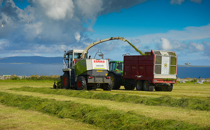 Best practice needed for multi-cut silage