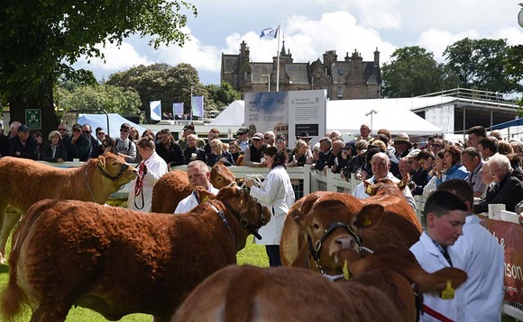 Highland Show auditors issue warning as society faces £6m black hole