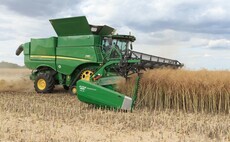 Strong harvest signals continued OSR revival