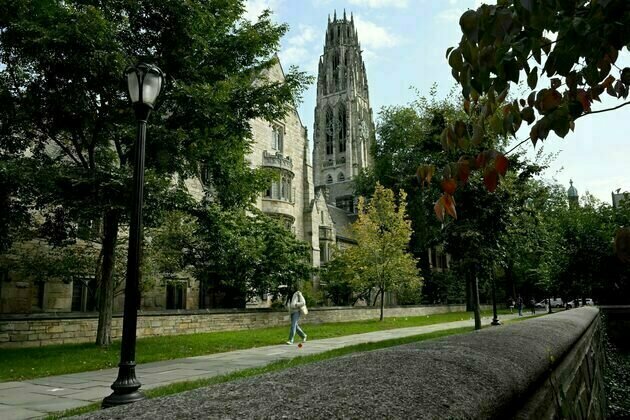 Yale scholars' move to Canada can prompt us to reflect on the rule of law
