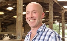 Cows may love jazz - but sheep prefer The Beach Boys, says farmer