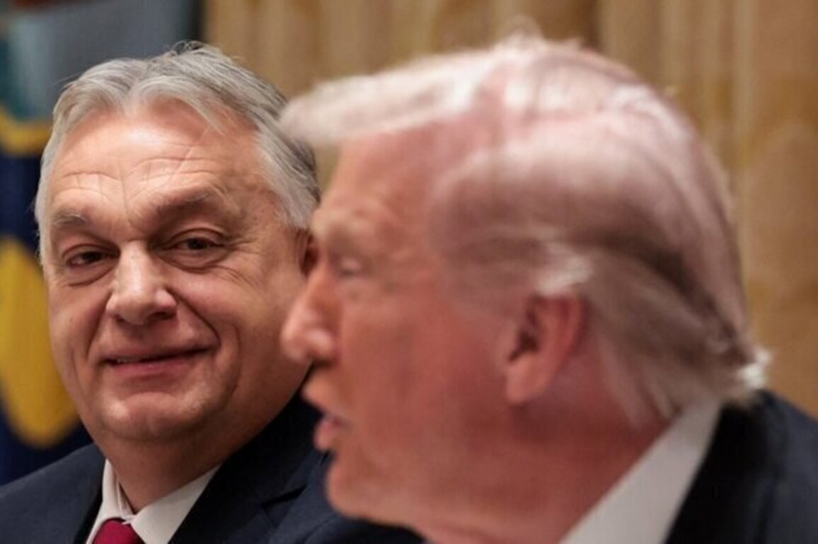 Orban Says Hungary Received US Exemption On Russian Energy