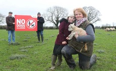No dogs allowed signs prove popular among farmers