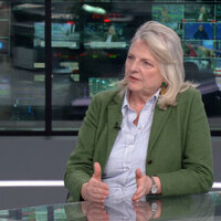 Hungary election a US-EU proxy war  ex-Austrian foreign minister