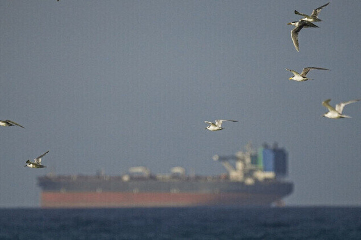 Middle East war fallout hits consumers worldwide