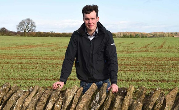 Crop Walk with Chris Dickinson: Cultural controls for septoria are paying dividends