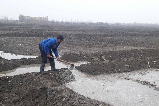 Despite drop, China maintains edge as Uzbekistan's top trade partner