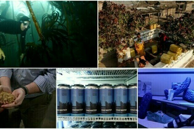 CNN's Going Green explores the innovations protecting and purifying water