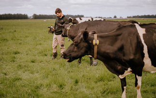 Key livestock management solutions to boost productivity on-farm - Datamars 