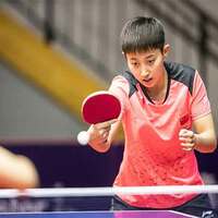 Paddler Fan Siqi, Bernadette Szocs join rising Indian stars in UTT Season 6 Player Auction