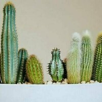 Does penis size matter? And how do I know what's normal?