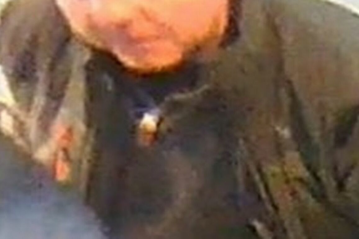 Picture released after assault onboard Scots train