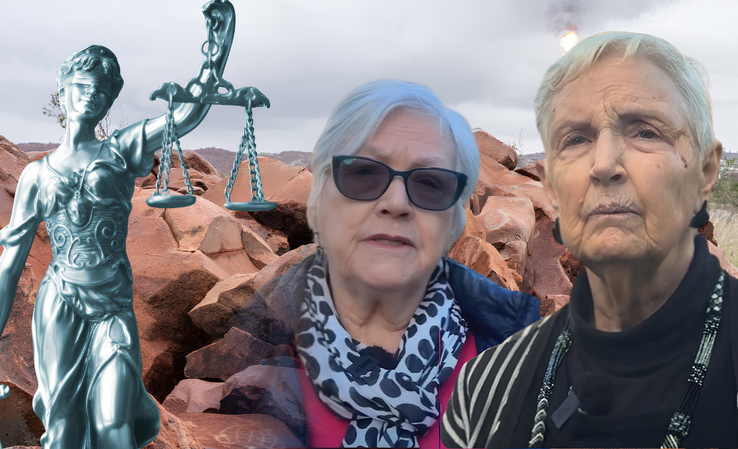 Opponents of Woodside's NWS project win court ruling against WA govt 