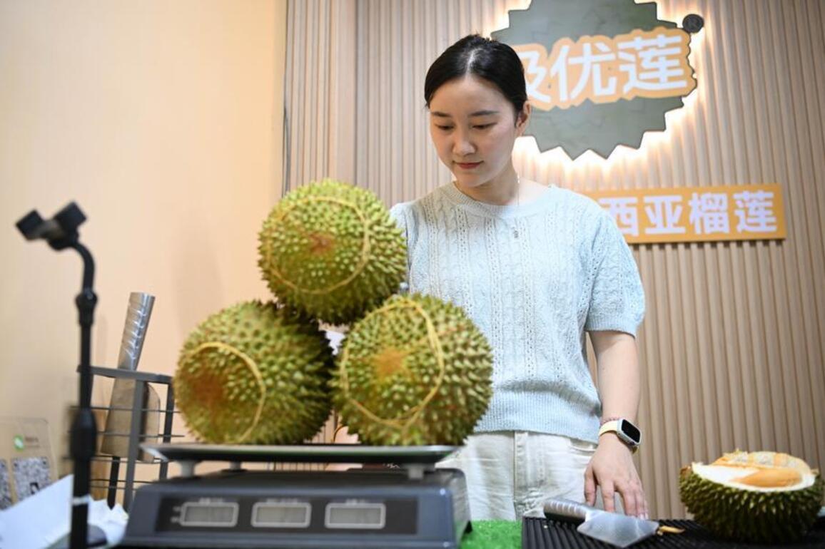 From luxury to everyday staple: China sees steady durian price decline