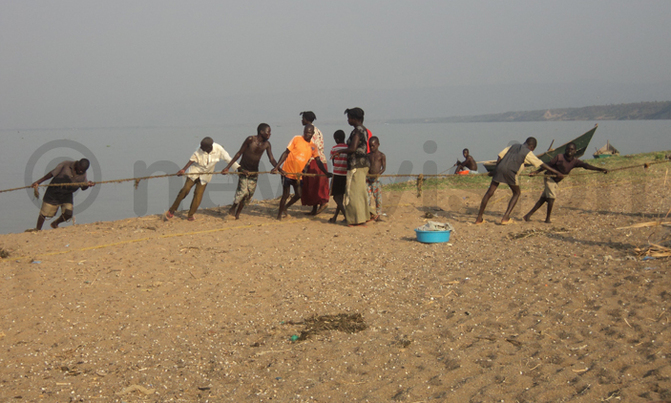 Piracy: Suspected Congolese soldiers raid Lake Albert again Piracy: Suspected Congolese soldiers raid Lake Albert again