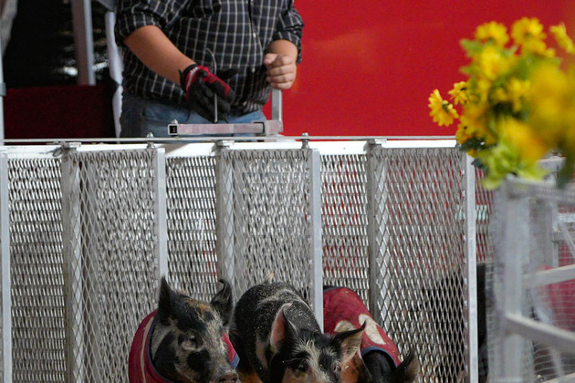 CANADA-VANCOUVER-PNE FAIR-AGRICULTURE SHOW