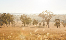 BHP has announced a Climate Investment Program to develop technologies to reduce emissions from its operations as well as those generated by its customers