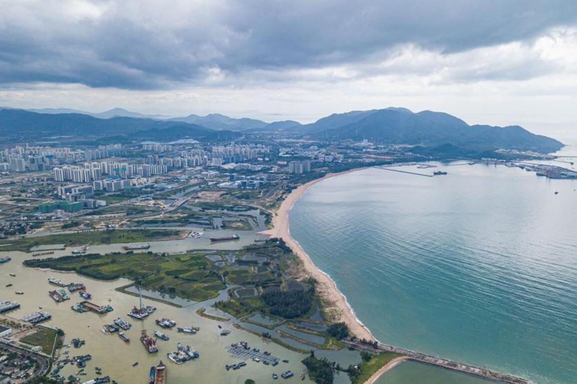 Interview: Hainan FTP "forward-looking" project, says World Free Zones Organization CEO