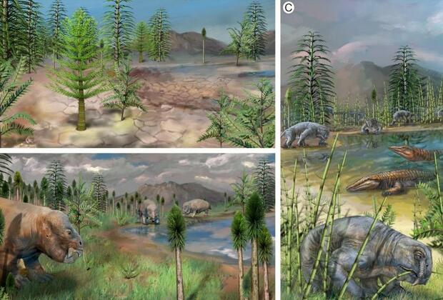 Study finds "oasis of life" thrived in NW China during Earth's worst mass extinction