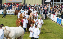Celebrating the very best of Cornish agriculture