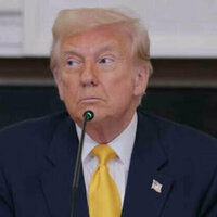 Trump demands more than minerals deal from Ukraine - media