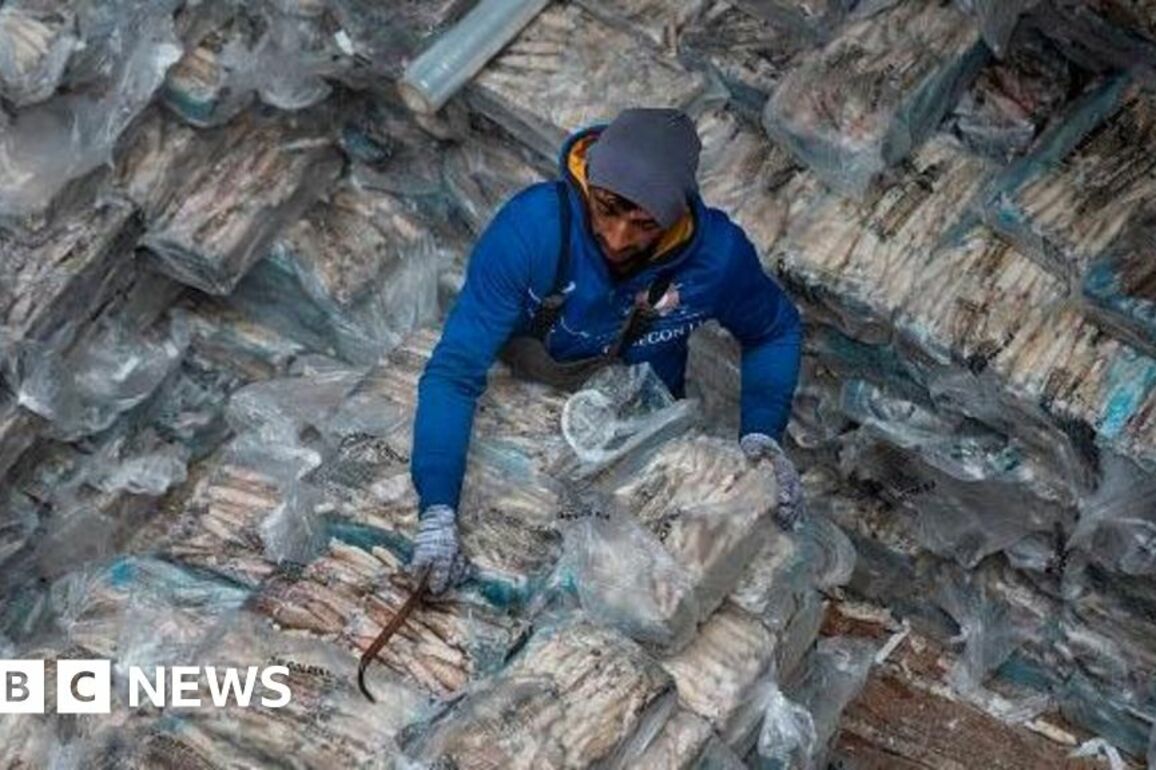 Falklands surprised to be on Trump's 'worst offenders' tariff list