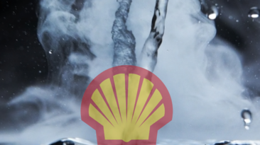 Shell in hot water.