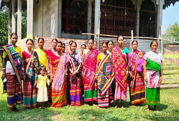 'Lifeline' fence empowers women in human-elephant conflict zone in Assam's Besorkona village