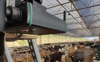British Cattle Breeders Conference: Vision technologies and fertility