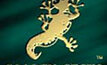 Energy sector nominations for Golden Geckos