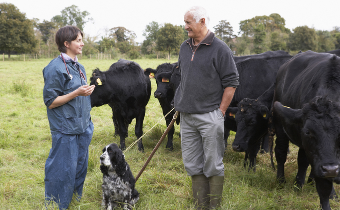 Veterinary sector faces retention crisis