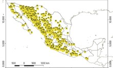 Exploration projects in Mexico in 2018