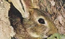 Innovative app to track rabbit control