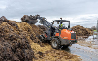 Kubota RT305-2 canopy telehandler boosts efficiency on indoor pig farm