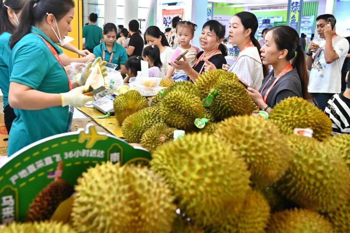 Xinhua Commentary: New inter-regional cooperation model in Asia boosts Global South unity