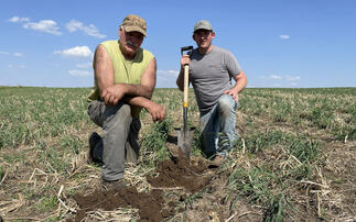 Farmer Tom Pyfferoen and Matt Kruger from Land O’Lakes check soil health improvements on a no-till field with cover crops. Image by Theresa Lieb/GreenBiz.