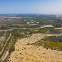 Green revolution blooms in Xinjiang's desert frontier