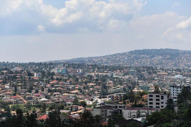 New export protocol gives Rwandan avocados access to Chinese market