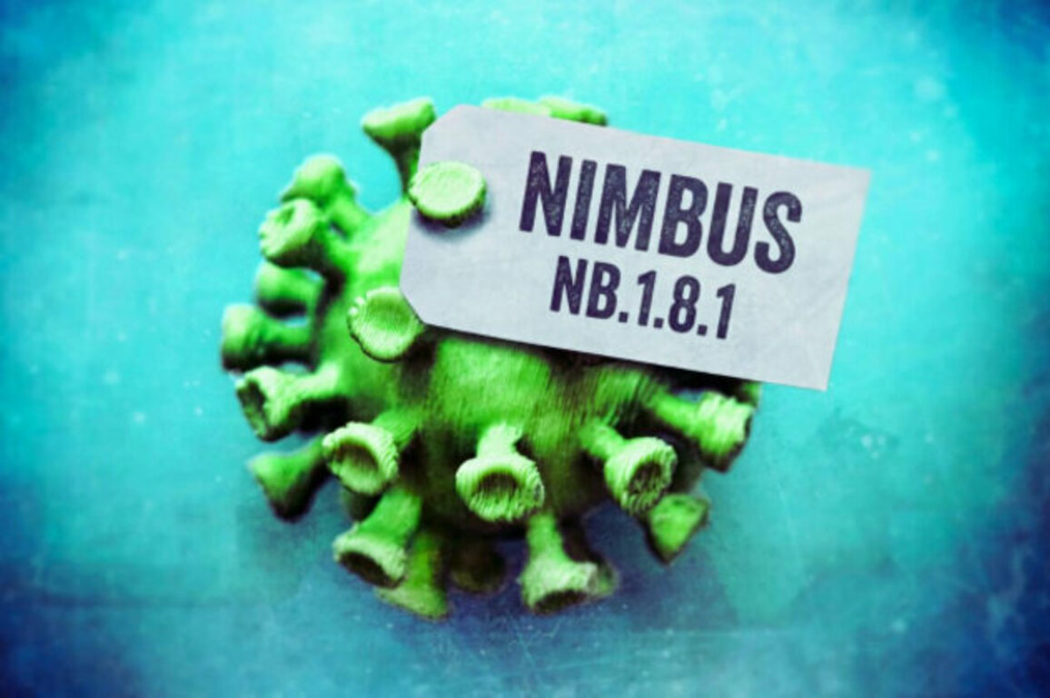 COVID-19 Update: How to Stay Safe from the Emerging Nimbus Strain