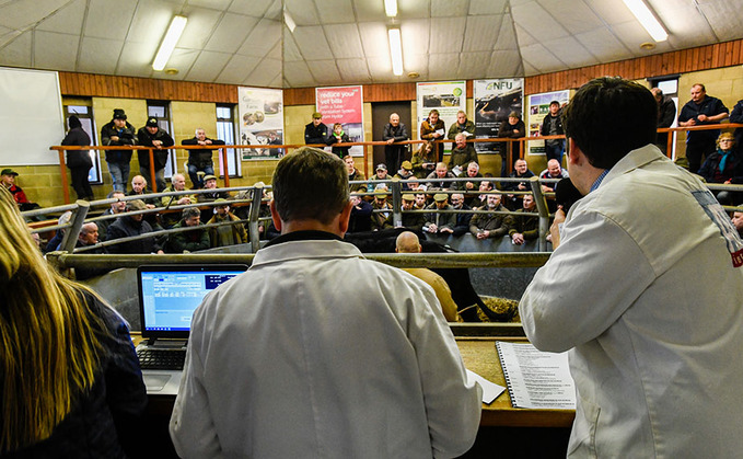 Auction marts offer advice to farmers to limit coronavirus spread