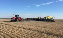 A new report from Rabobank has forecast a drop in Australia's winter crop plantings.