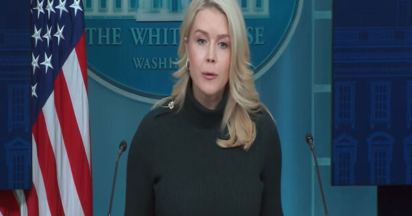 White House distances Trump from "domestic terrorist" label as ICE shootings spark protests