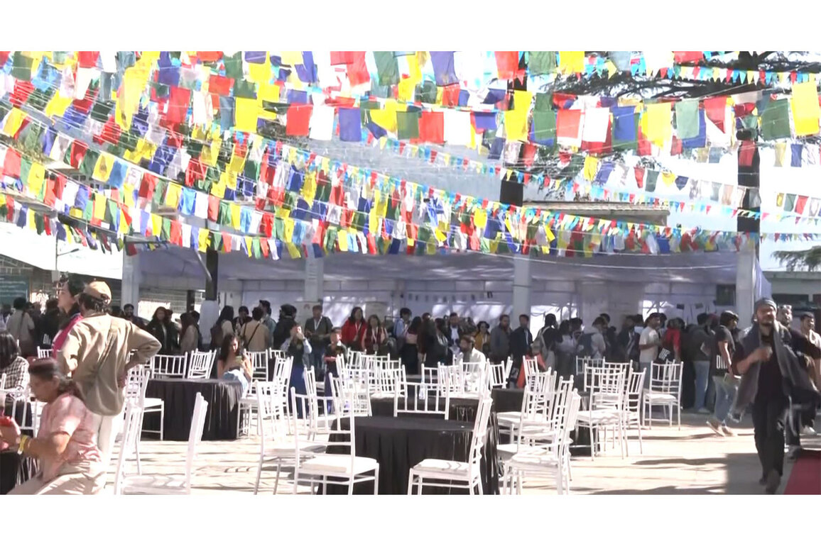 DIFF 2025 kicks off in hills: India's Oscar entry 'Homebound' witnesses long queue of cinephiles