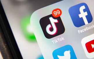 TikTok told US Senators employees need to go through a strict approvals process before viewing US user data - but politicians still have concerns