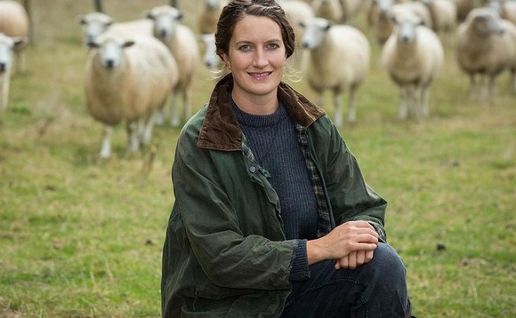 In your field: Marie Prebble - 'The extraordinary sheep in Iceland behave unlike any others I know'