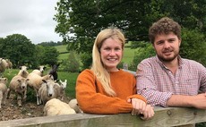 Young couple build successful sheep business on Dartmoor