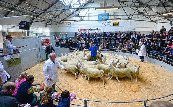 From the editor: Ben Briggs - Thriving marts are good for farming businesses