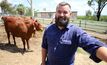 Professor Mark Trotter, head of CQU’s precision livestock management team, said the impacts of high temperatures and how cows change their behaviour to cope, were not well understood. Photo: MLA.