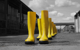 Farm Safety Week: Farming still the UK's most dangerous profession